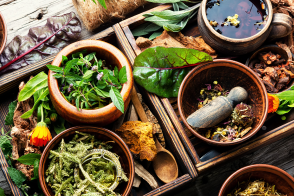 Untitled design 11 1