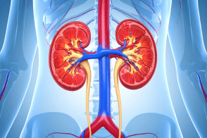 Untitled design 11 3