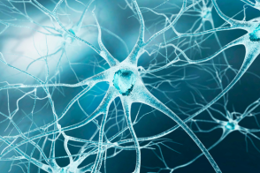 Untitled design 23 1